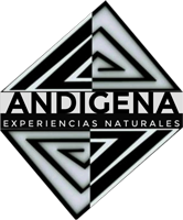 Andigena