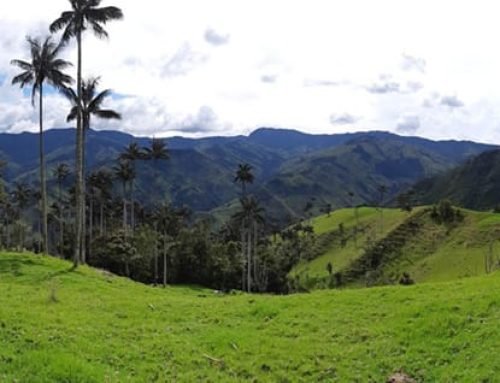 Paso del Quindío en la Cordillera de los Andes